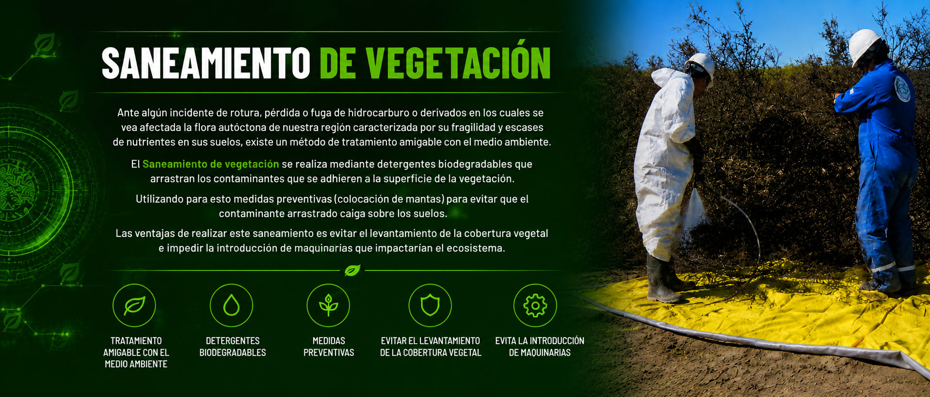 saneamiento de vegetacion (pagina nueva)